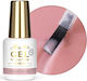 Bauherren-Gel In Flasche Pinselgel In Flasche Molly Nails Pro Salon Kaffee Blush Hema/di-hema Frei 15g