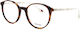 Woodys Willis 02 220301