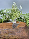 Silver Plated Amethyst Bracelet – Women's Adjustable