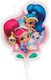 2d Shimmer & Shine Cake Candle