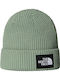 Salty Beanie Unisex Beanie Knitted in Green color
