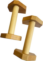 Rage Push Up Handles Set of 2