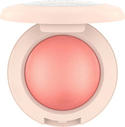 Catrice Cosmetics Soft Glam