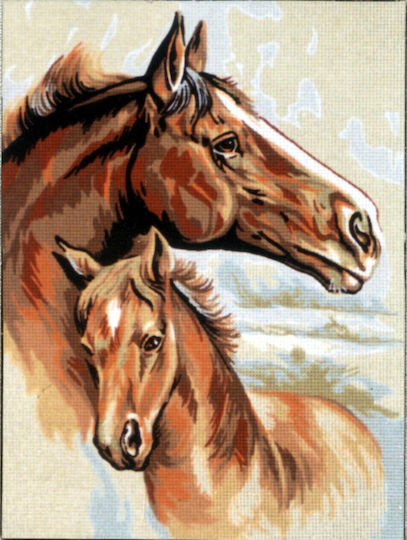 Tablou Broderie Pe Pânză Stantată 40x50 Gobelinl 40.104