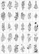 Set 30 Temporary Tattoos Flippy Water-based Model 4 Black