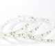 Eurolamp LED Strip 48V Warm White Light