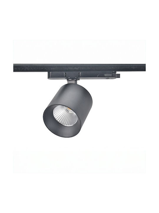 Dimming LED Natürliches Weiß Spot in Weiß Farbe