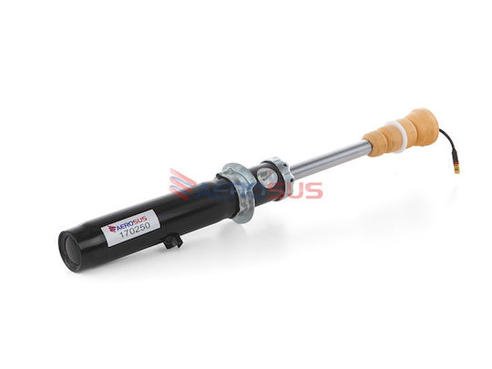 Aerosus Aerosus Front Shock Absorber Porsche 718 Cayman Pasm 2016 2017 2018 2019 2020 2021 2022 2023 170250 170250-2