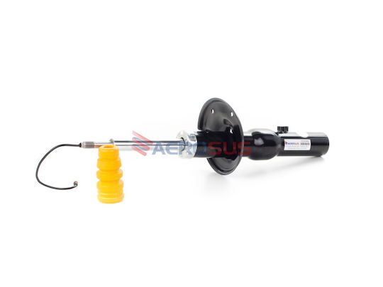 Aerosus Aerosus Rear Left Or Right Shock Absorber Porsche Cayman 981 Pasm 2013 2014 2015 2016 165842 165842-2