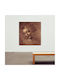 Canvas Leonardo Da Vinci Female Head 127x127