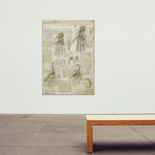 Canvas Leonardo Da Vinci Bones Muscles Tendons Of The Hand 96x137