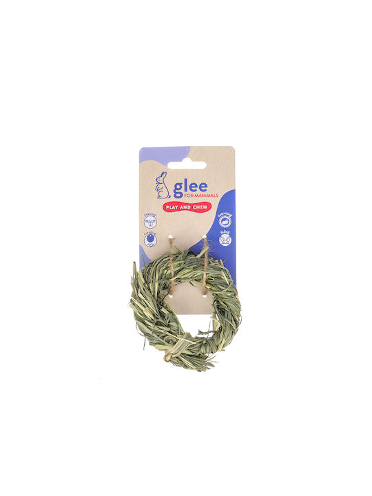 Βρώσιμο Παιχνίδι Τρωκτικών Glee Timothy Ring 9cm 91300