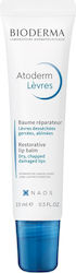 Bioderma Atoderm Балсам За Устни 15ml Bioderma Atoderm Балсам За Устни 15ml