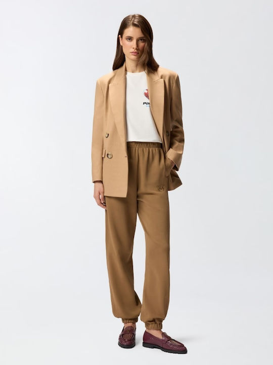 Pazzo Women's Fabric Trousers Brown