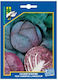 Geniki Fytotechniki Athinon Seeds Cabbage Brass...