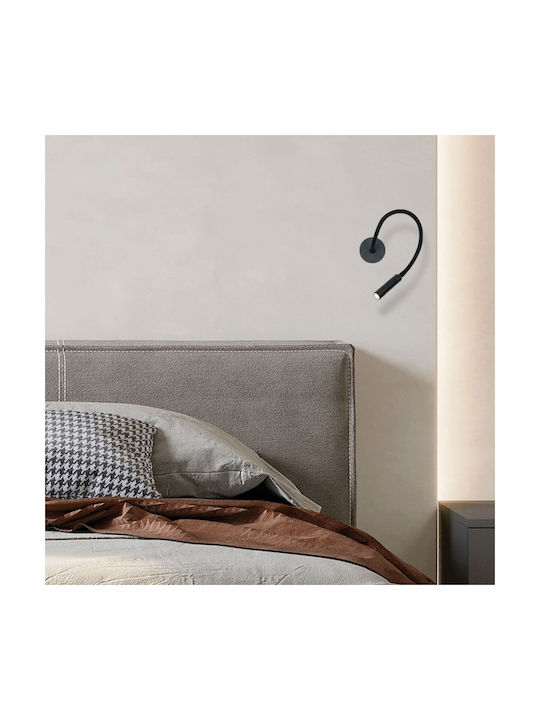 Zambelis Lights LED Warm White Spot in Black Color