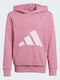 Kids Sweatshirt with Hood and Pockets Fuchsia