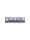 Flower Kwa18700 Fuchsia