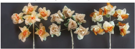 Blumen Kw95157 Orange