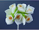 Flower Vra031 Orange