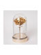 Eurolamp Lustră Decorativă Floare Alb