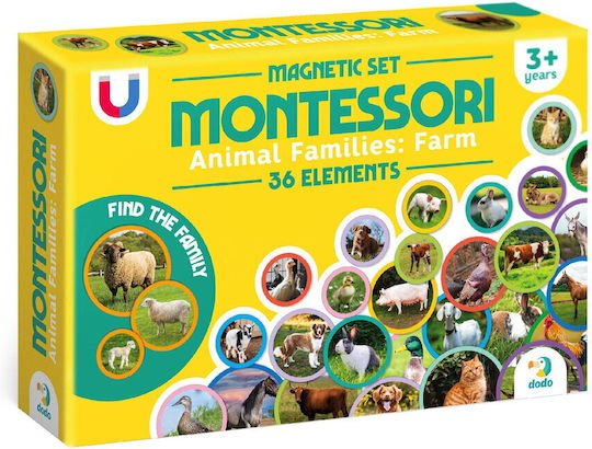 Dodo Montessori Joc Educațional de Cunoștințe pentru 3+ ani Ani