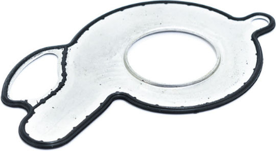 O-Ring Für Wasserpumpenabdeckung Benelli Leoncino 250 20'-22' Trk 251 19'-21' Original