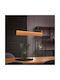 Trio Lighting Kalea Κρεμαστό Φωτιστικό