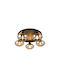 Trio Lighting Ceiling Mount Light Honey
