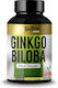 GoldTouch Nutrition Ginkgo Biloba 720mg 60 κάψουλες