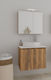 Drop Countertop with Sink & Mirror with Light M...
