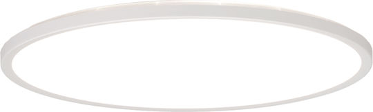 Elmark Ceiling Mount Light with Integrated LED