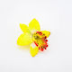 Plastik Haarspangen Orchideen-Gelbe