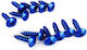 Blue Screw 5x20mm Sheet Metal Screw 12pcs/Set Vicma
