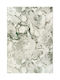 Ragolle Platinum Χαλί Ορθογώνιο Πράσινο 160x230cm