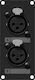 Caymon Casy125/b Casy 2 Zenskie Xlr Kabelsteckverbinder Panel 3-polige Crossover Schwarze Version