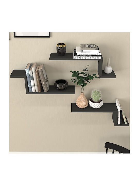 Lowa Wall Shelves Anthracite (3 Pieces) 57.7x14...