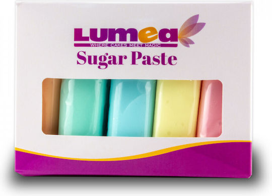 Lumea Set Glasuri Fondant 100gr În Culori Diferite