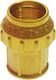 Pipe Fitting Female Polyethylene Brass 25mm x 3/4 Inch