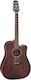 Takamine Semi-Akustik Gitarre Dreadnought Ausschnitt