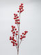 Κλαδι Πλουμιστο Κοκκινα Berries 70cm