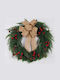Fiorito Krone Linatscha 60cm