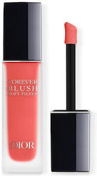 Dior Liquid Blush 03 Bloom Dior Liquid Blush 03 Bloom