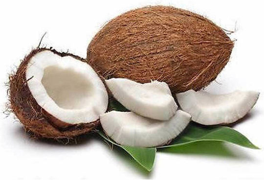 Duft für Kerze Kokosnuss 100g