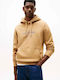 Sweatshirt mit Kapuze Braun