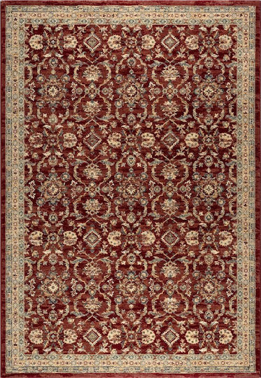 Ragolle Da Vinci Rug Rectangular 57461/1464