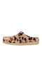 Winter Women's Slippers Brown