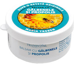 Transvital Propolis & Calendula Balsam Für Heilung 30ml