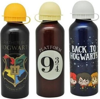 Kids Euroswan Παιδικό Παγούρι Harry Potter 500ml
