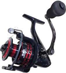 FS 6000